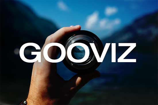gooviz.com