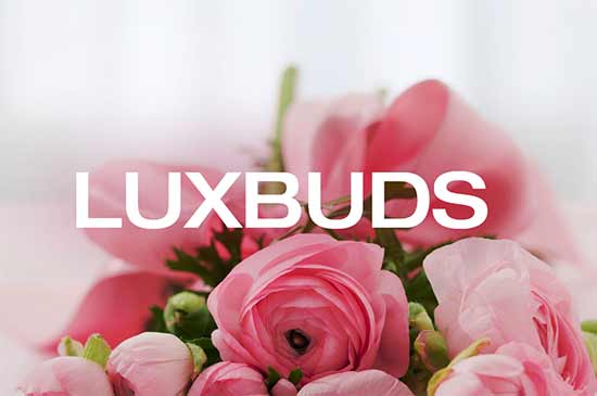 luxbuds.com