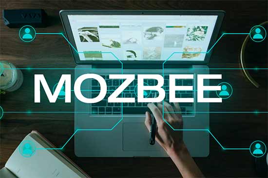 mozbee.com