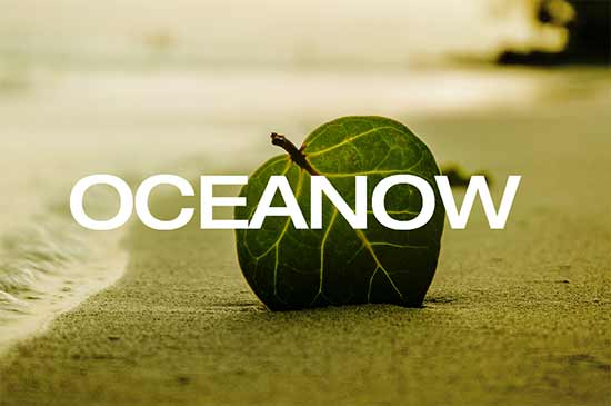 oceanow.com