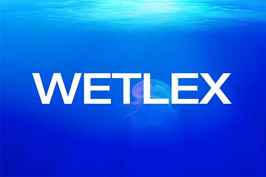 wetlex.com