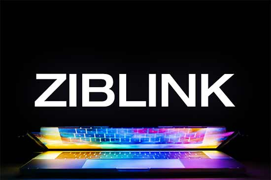 ziblink.com