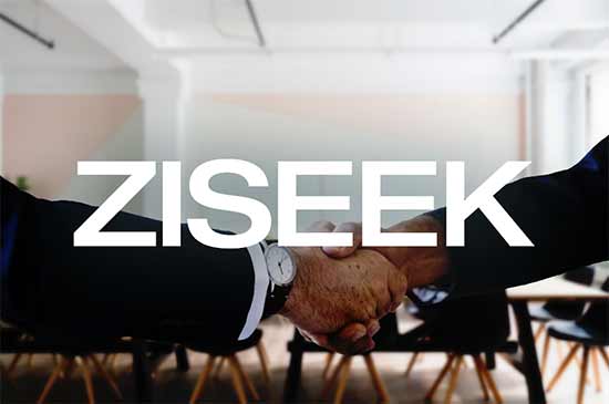 ziseek.com