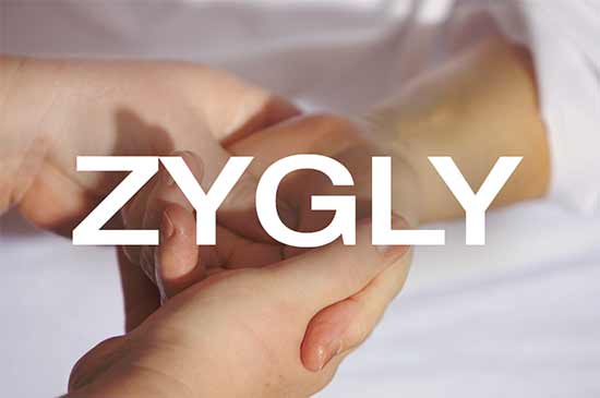 zygly.com
