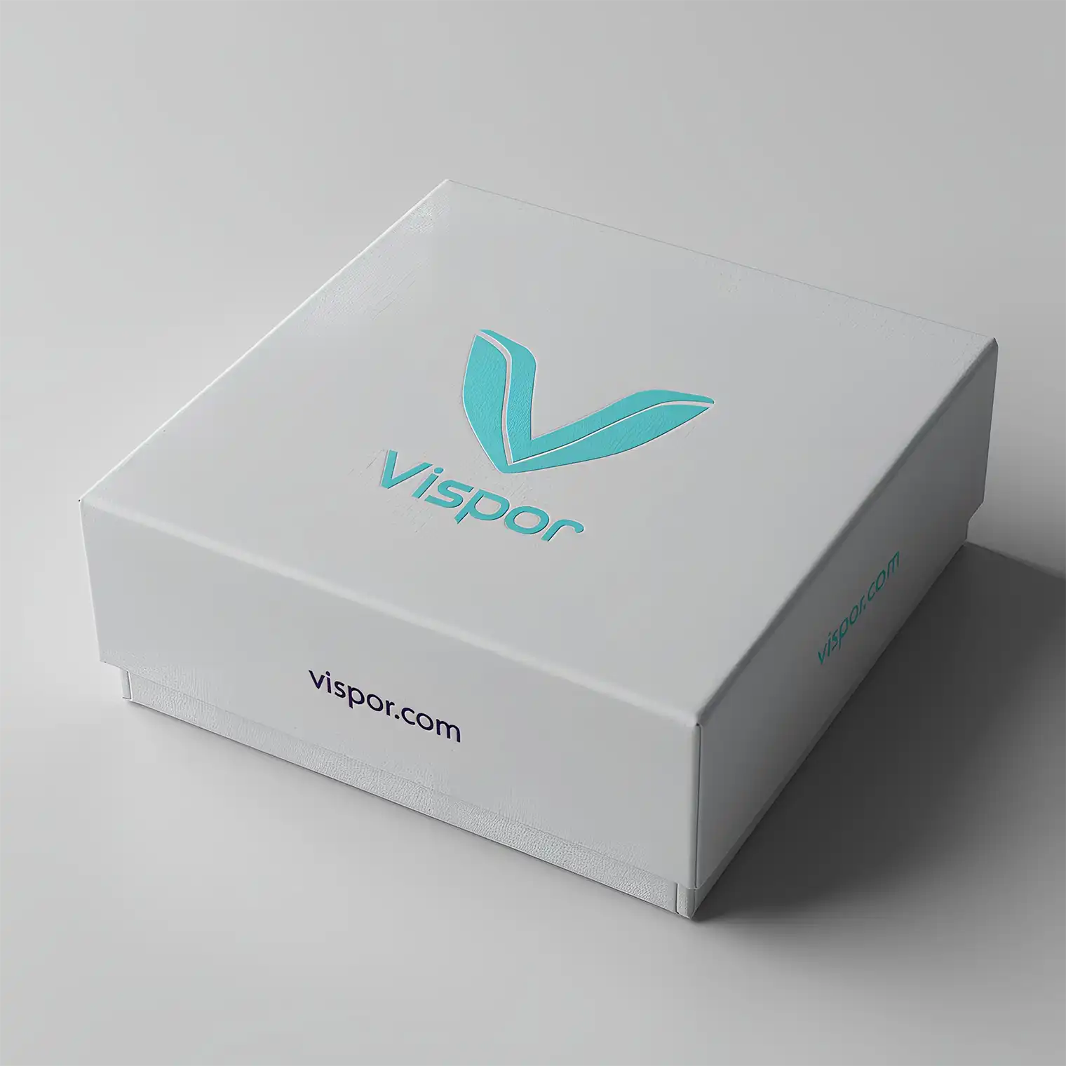 vispor_com-mockup-box